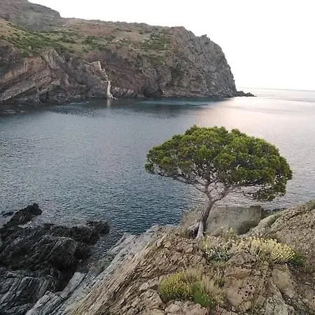Sant Jordi Pensión