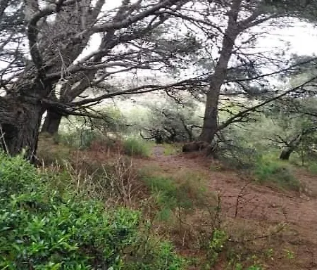 Sant Jordi بيت ضيافة 2*