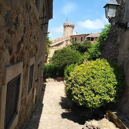 ゲストハウス Camino Santiago Sant Jordi 2*